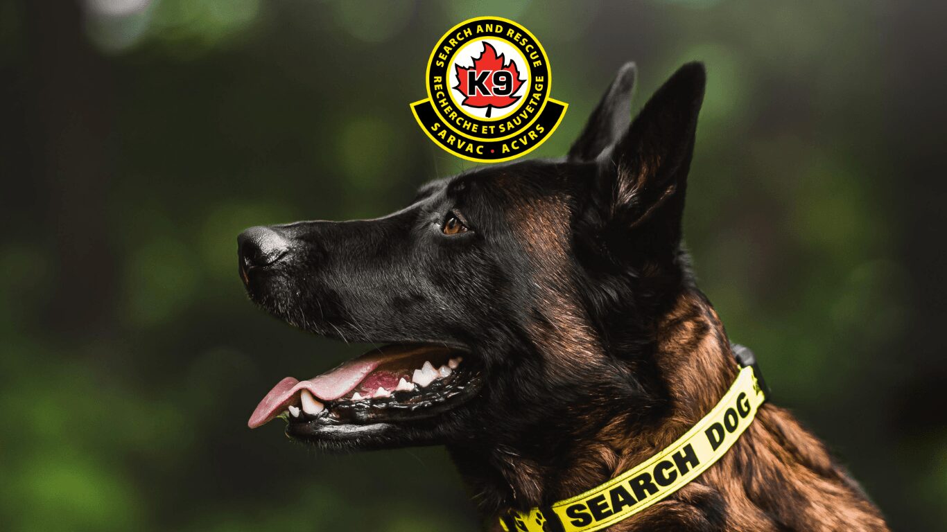 SARVAC National SAR Canine Program: Moving Toward a National Standard