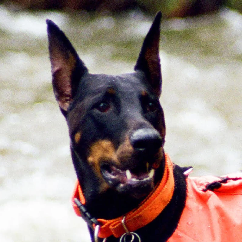 Reta-Headshot Reta